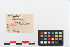 Etiketten zu Bronzegehänge (NHMW-PRAE-024339)